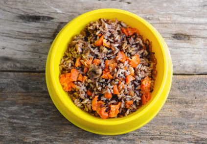 수제 도그 푸드.