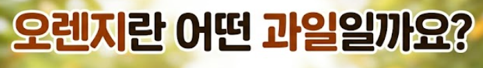오렌지 효능