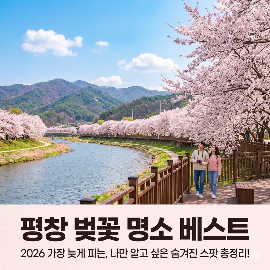 평창 벚꽃 명소