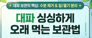 대파 보관법
