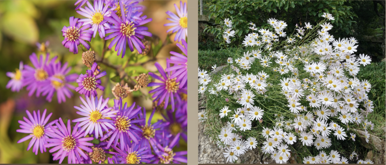 화담숲 예약하기