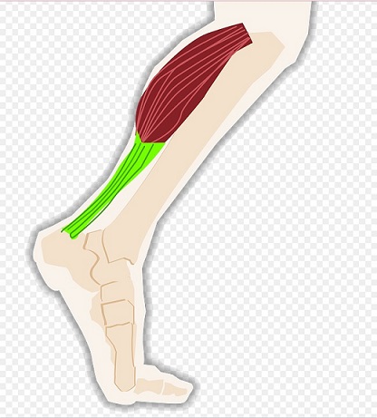 진정주 생기산 복용후기