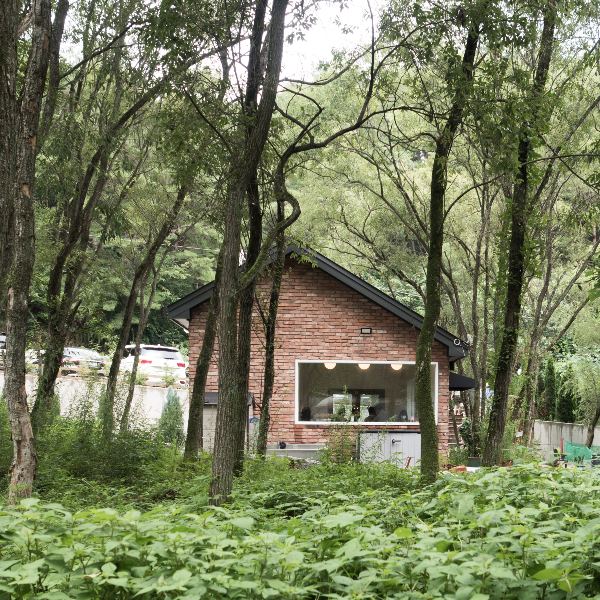 봉화 비진숲 커피