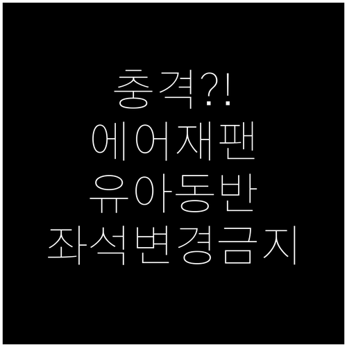 에어재팬 유아 동반 좌석 변경 제한 ..