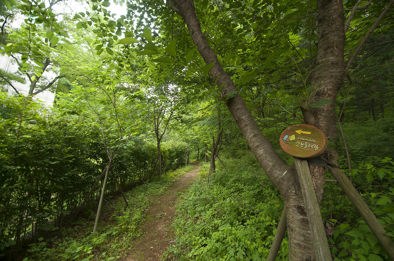 인천 둘레길 완주