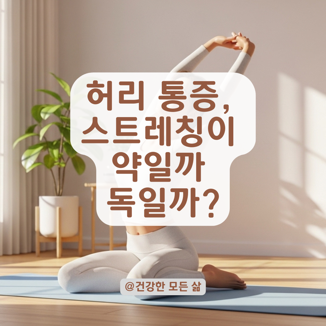 허리 통증 시 스트레칭, 약이 되는 동작과 독이 되는 차이법!