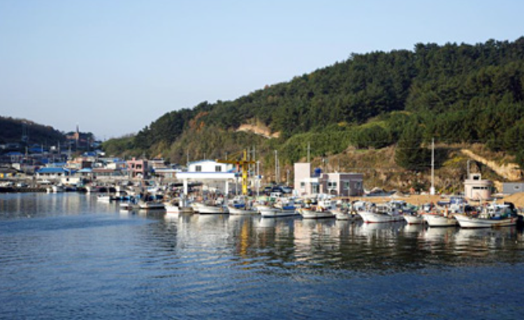 영덕 블루로드
