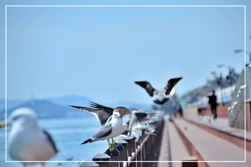 목포 평화광장 이미지