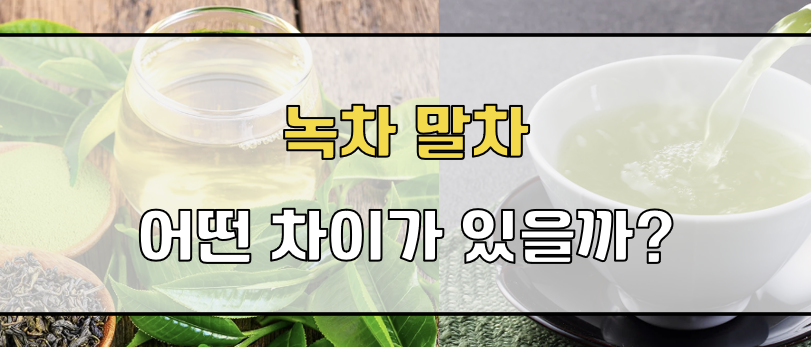 녹차 말차 차이점