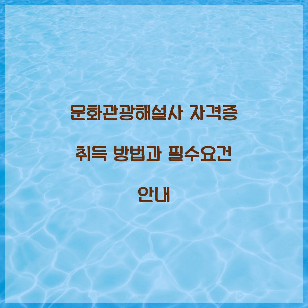 문화관광해설사 자격증