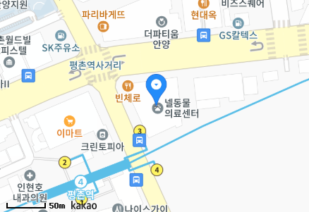 경기도 안양시 동안구 평촌동 일요일 진료 휴일 문 여는 병원