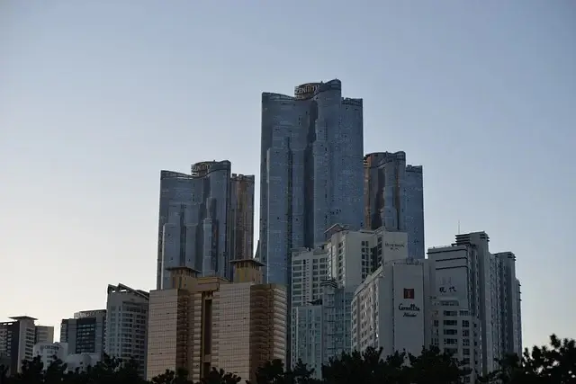 2025년 청와대 관람 예약부터 해설 프로그램, 추천 코스