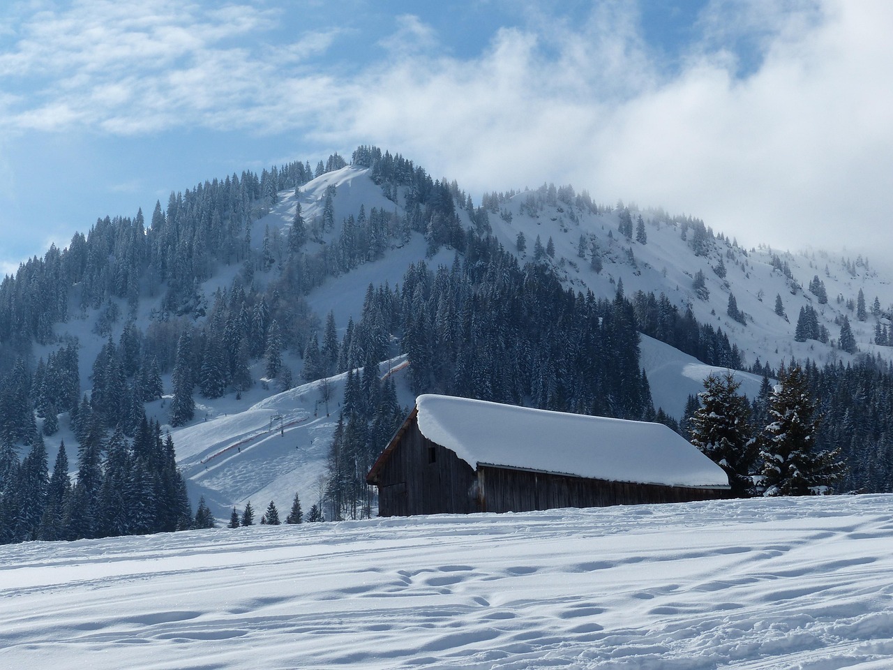 눈 덮인 산속 관련 사진