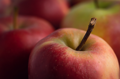 기초연금도 압류될 수 있다? 안심통장으로 안전하게 받는 법