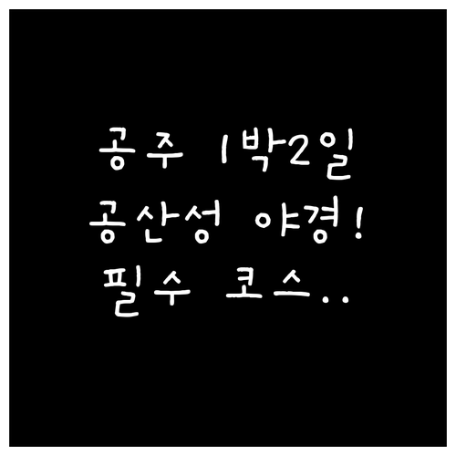 공주 1박 2일 여행 코스 공산성 야..