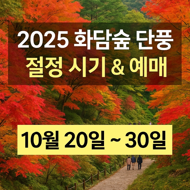 2025 화담숲 단풍