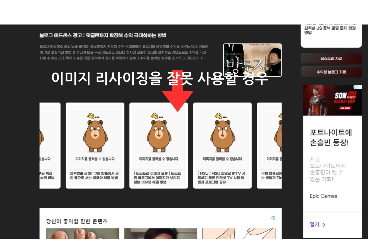 티스토리 블로그 이미지 오류류 대체 이미지 출력