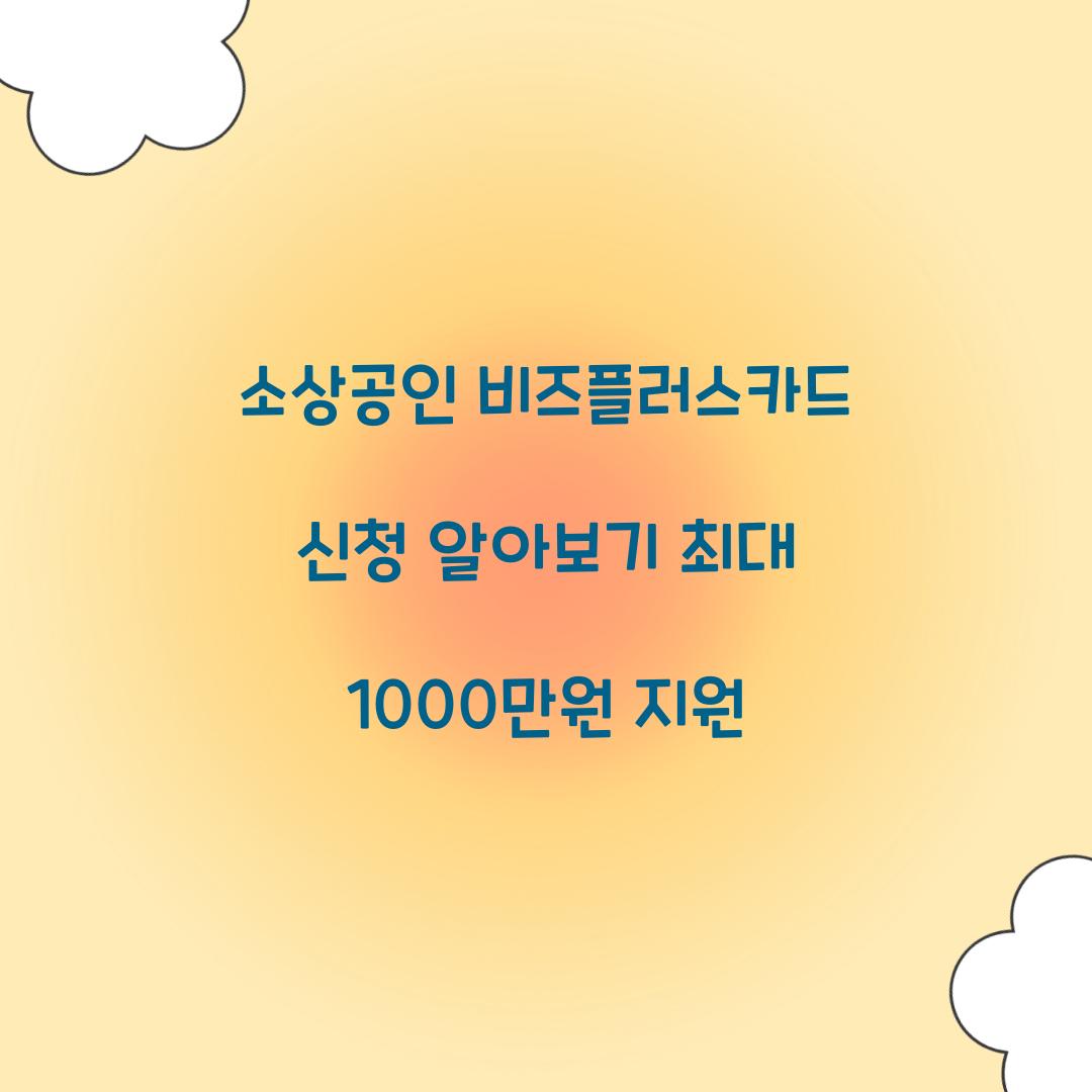 소상공인 비즈플러스카드