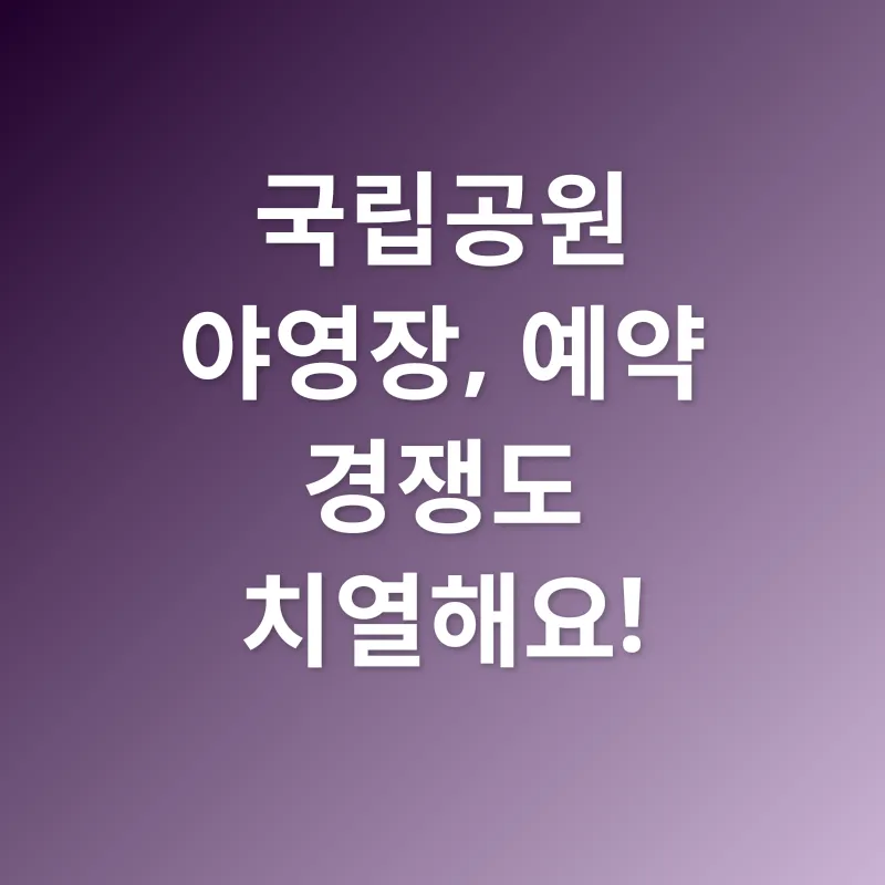 국립공원 야영_2