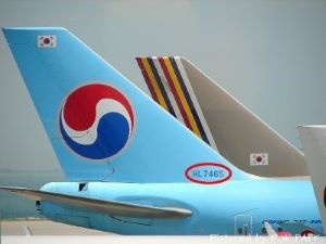 항공기 등록 번호 사진