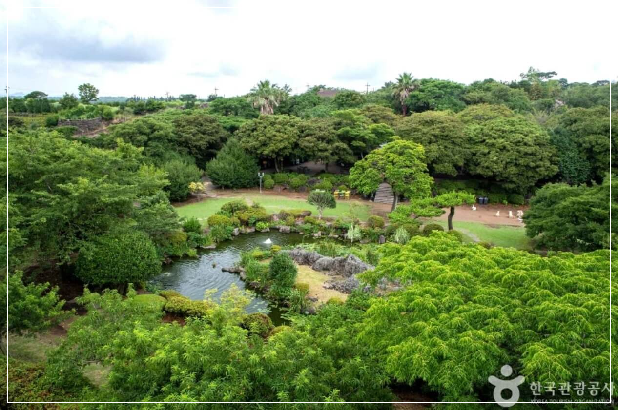 제주도 가볼만한곳 베스트10 카멜리아 힐