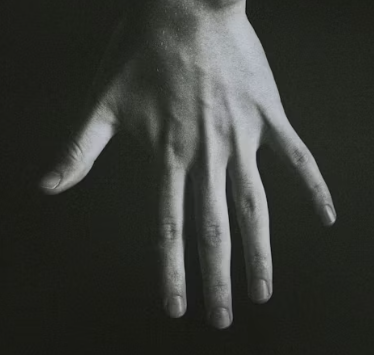 수족냉증 영양제