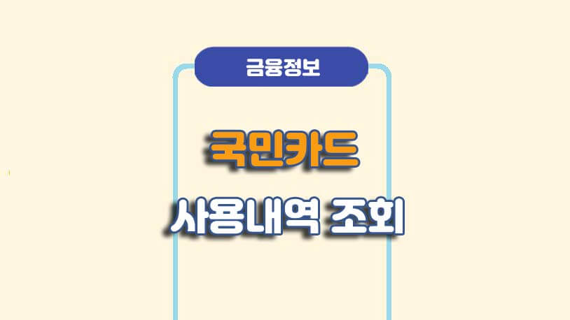 국민카드 사용내역 조회