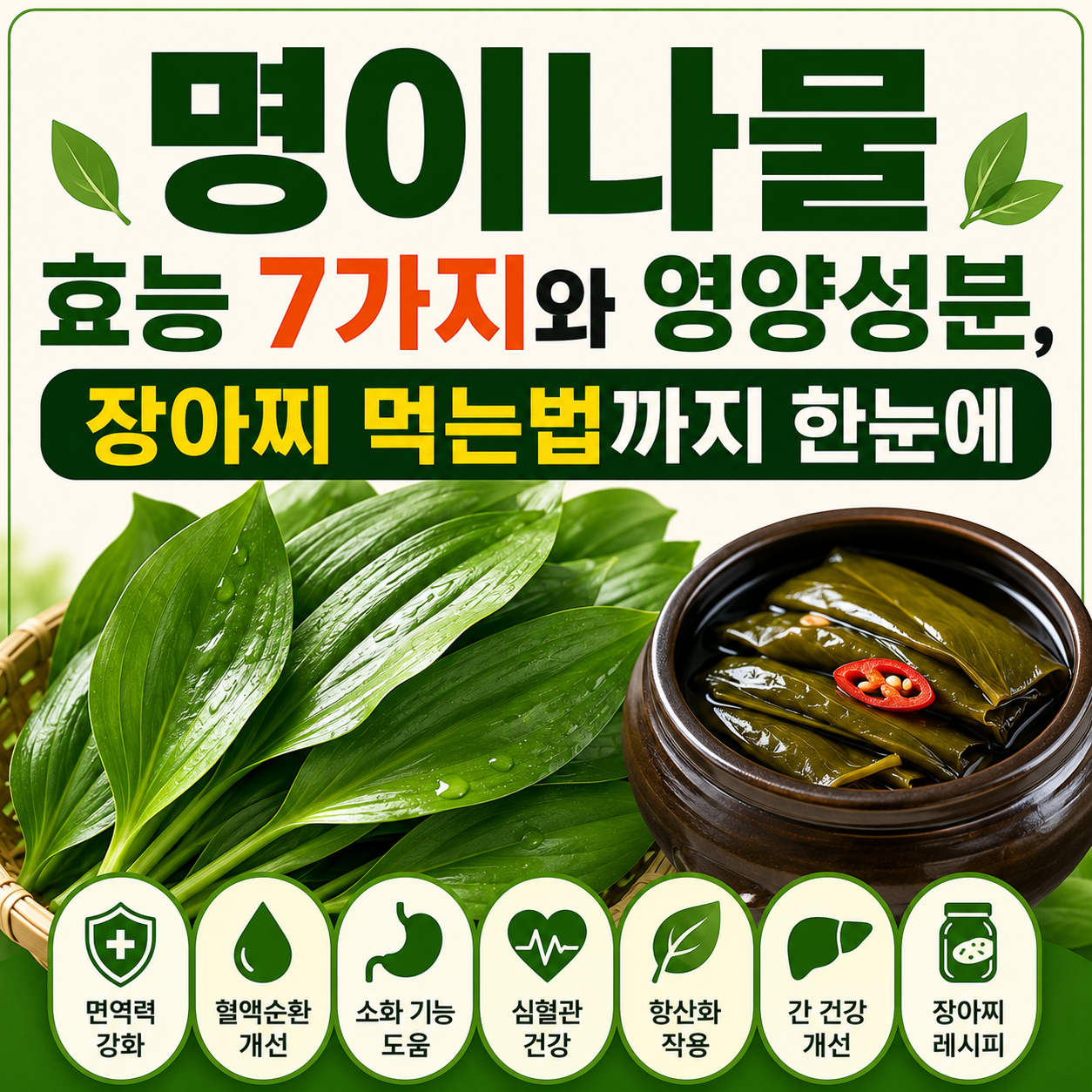 명이나물 효능