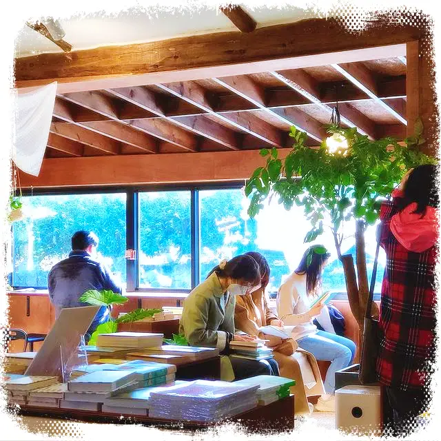 힙하게 놀자! 제주도 북카페 전통배체험 봄 제주 감성 여행 정보