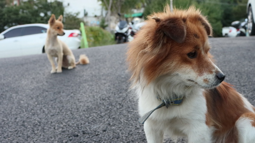 챗GPT가 몰고온 검색의 미래