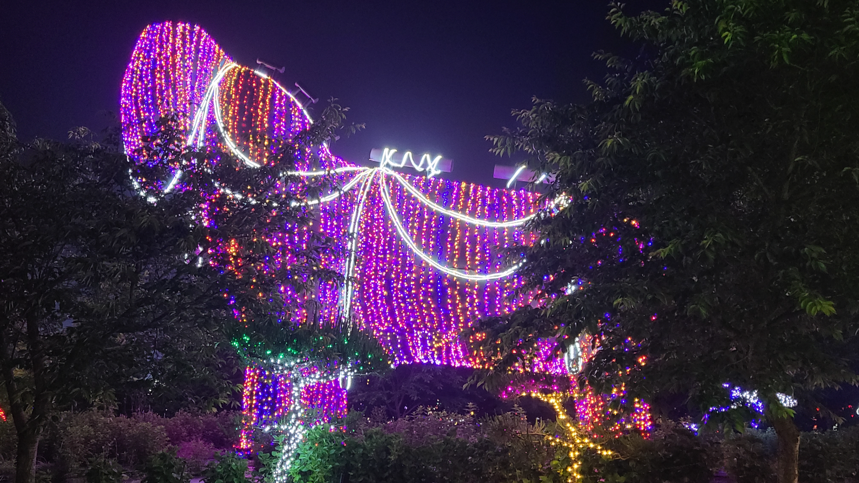 태안빛축제할인방법 태안별빛축제 태안불빛축제 태안애견동반 태안꽃축제 튤립축제 꽃박람회 태안할인