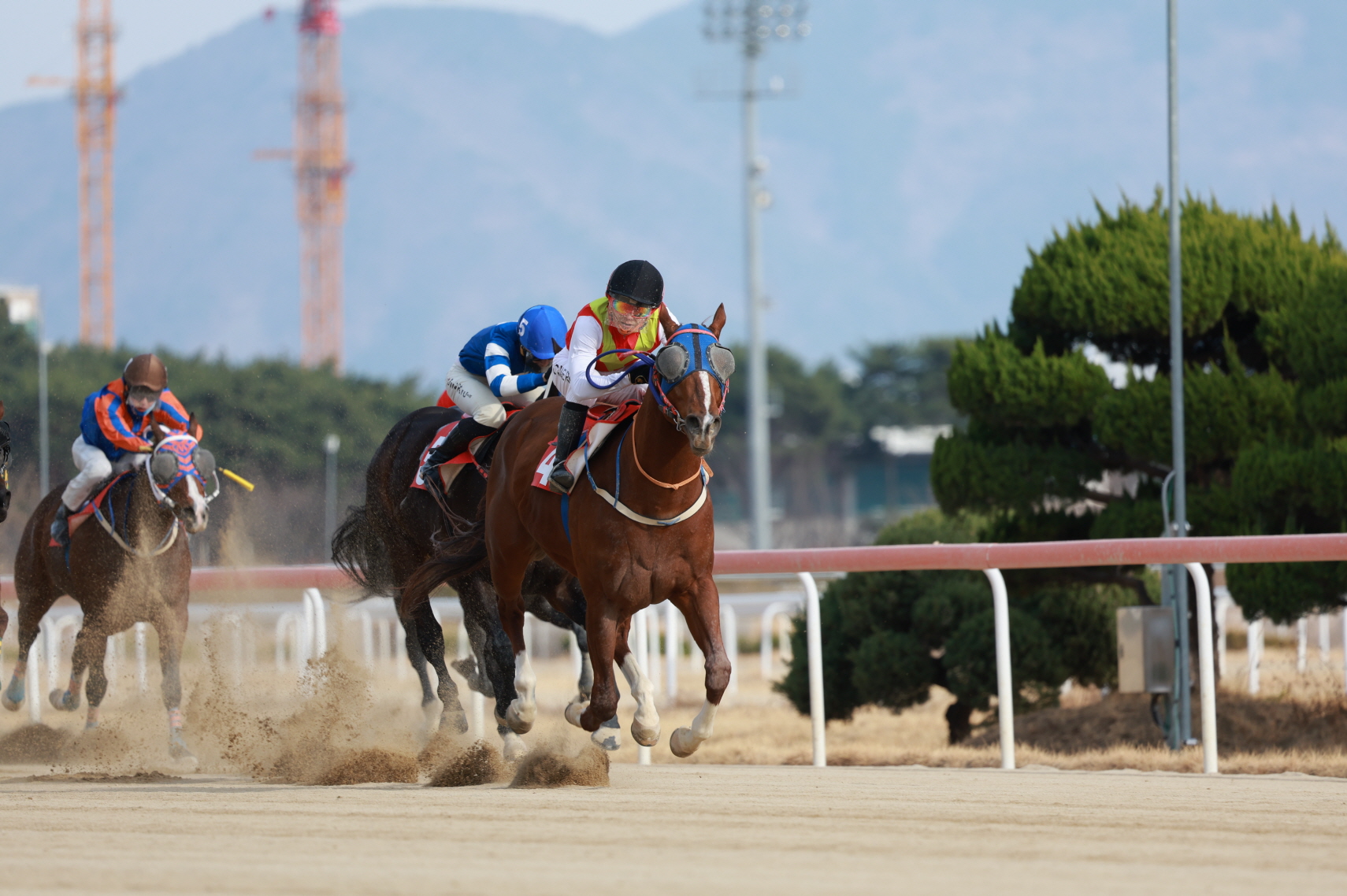 2026년 부산일보배 대상경주 우승마 빈체로카발로