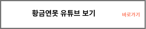 황금연못 유튜브