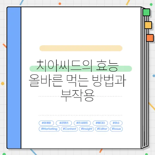 치아씨드의 효능 올바른 먹는 방법과 부작용
