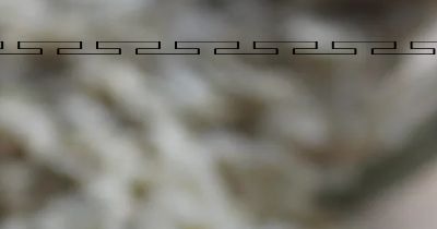 귀리 효능과 부작용