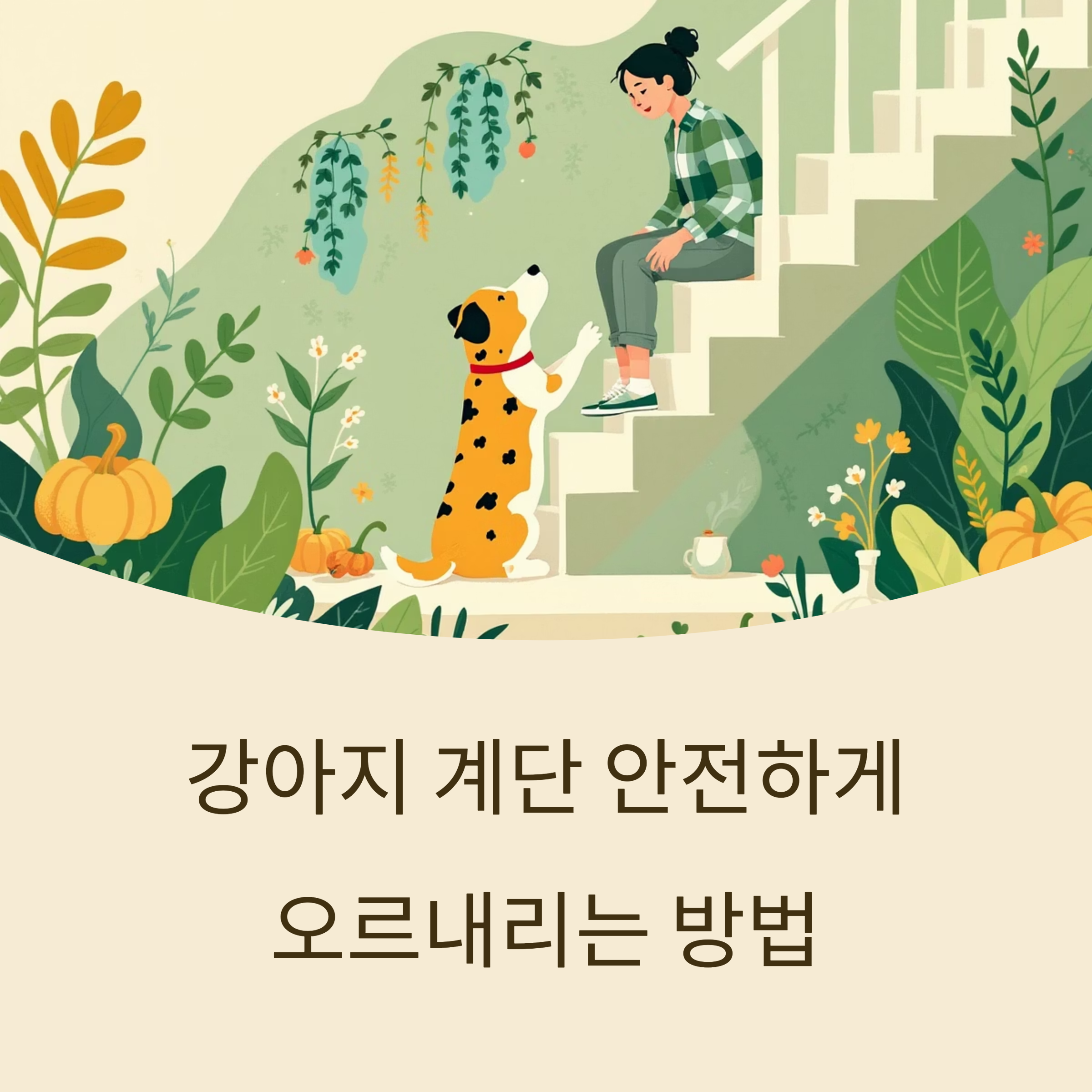 강아지 계단 안전하게 오르내리는 방법