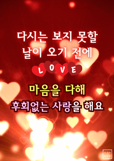 사랑 문구 이미지