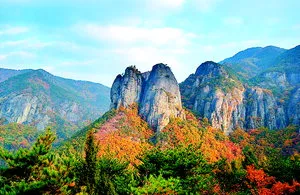 &amp;quot;청송