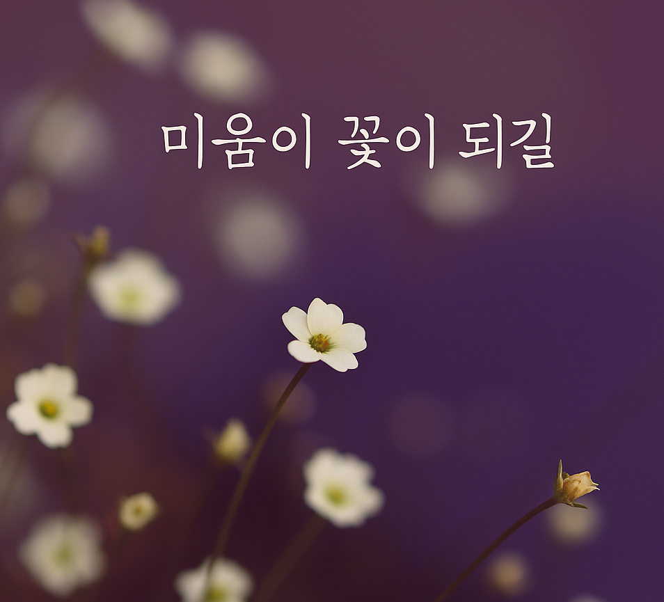 "보라색 배경 위에 하얀 들꽃이 피어 있는 모습, 감정 치유와 위로의 메시지를 담은 이미지"