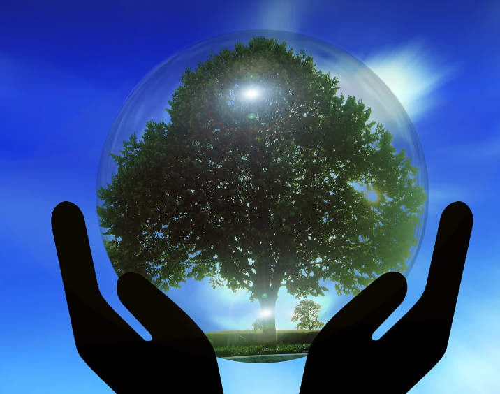 더 늦기 전에 시작하는 환경오염 해결의 길