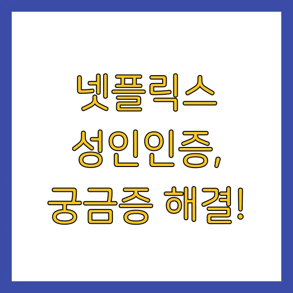 넷플릭스 성인인증 오류 해결 방법 성인인증 하는 법