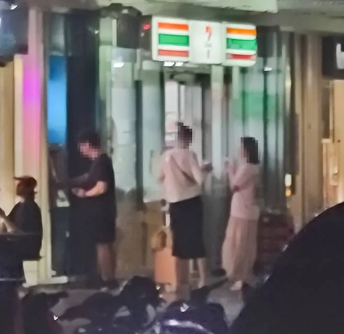 태국대마초매장