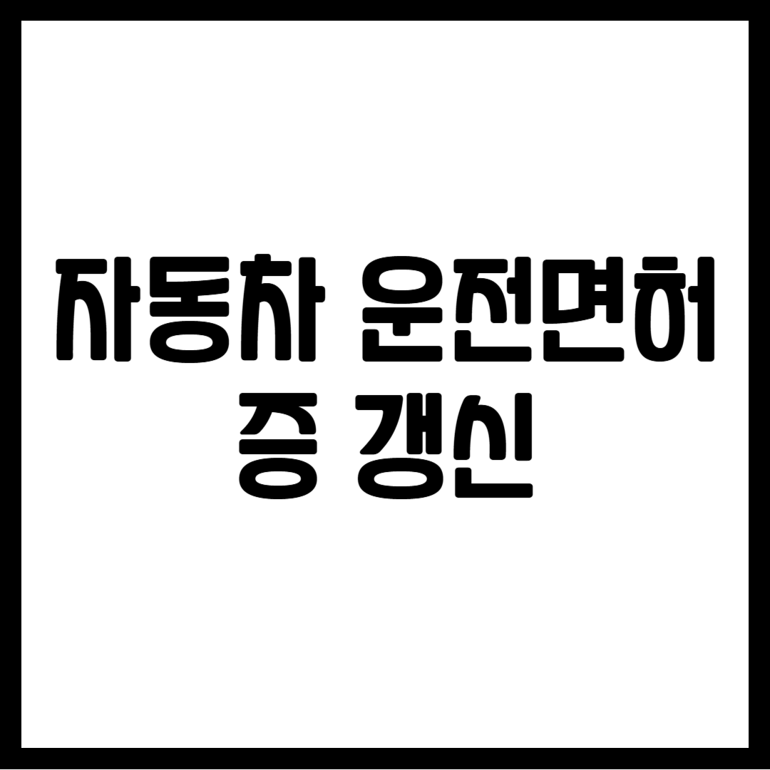 자동차 운전면허증 갱신