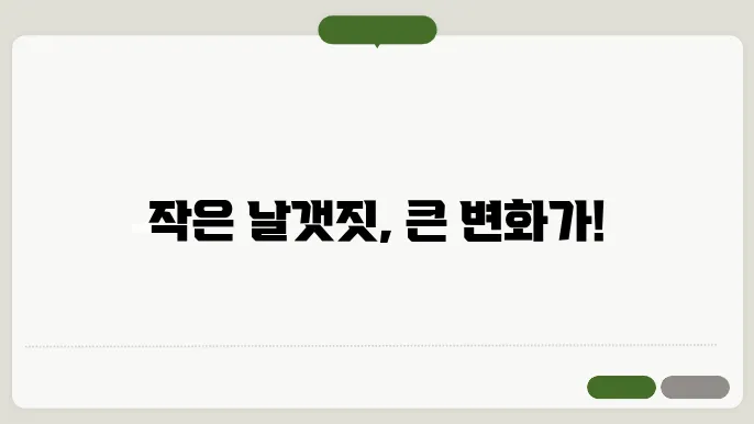 나비효과 노래
