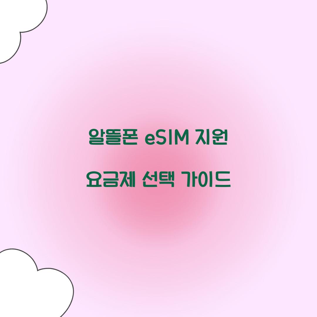 알뜰폰 eSIM 지원