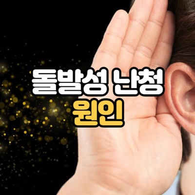 돌발성 난청 원인