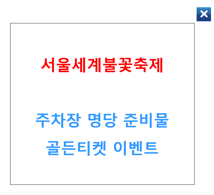 서울세계불꽃축제