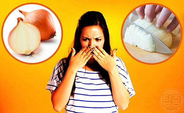 손에 밴 양파냄새 없애는법