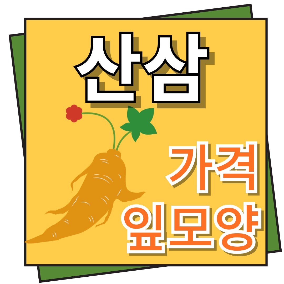 산삼 가격 및 잎모양 구별 법