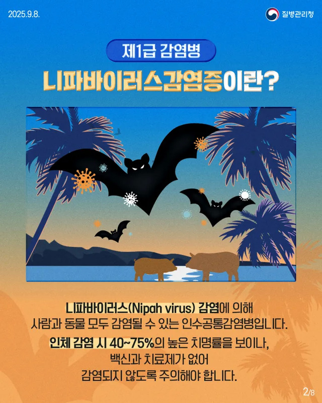 니파 바이러스